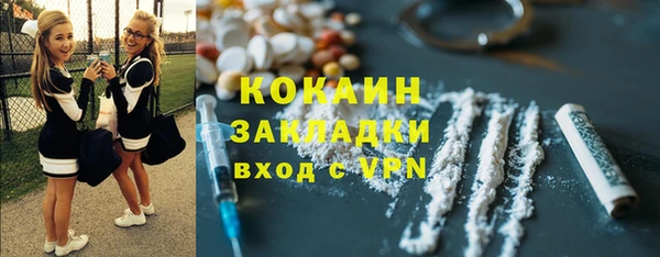 шишки Великий Новгород