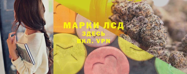 СК Медногорск