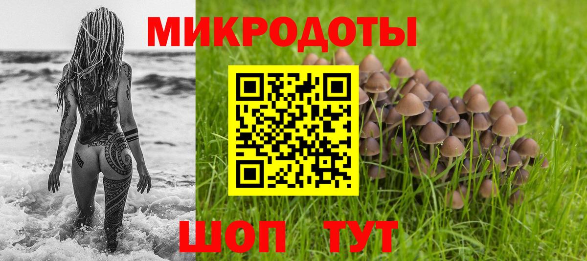 Галлюциногенные грибы Psilocybe  Вход с VPN  Псилоцибиновые грибы прущие грибы  Жуковский 